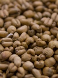 Crisp Torrified Wheat